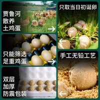 汴都铺子变蛋河南无铅工艺溏心鸡蛋变蛋凉拌松花蛋皮蛋传统手工制作整箱装 20枚【温润软糯】