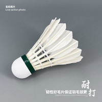 南极风小浣熊6号羽毛球鹅毛耐打复合软木球头飞行稳定比赛训练球 1筒 【共10只】 【优质鹅毛】