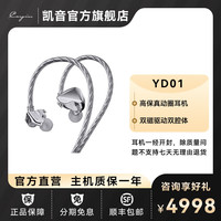 凯音 YD01 入耳式动圈有线耳机 银色 3.5mm