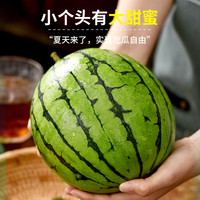 京地达山东糖丸小西瓜净重单果2斤+ 当季新鲜甜瓜现摘源头直发