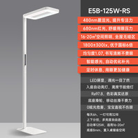 孩视宝 E5-115W-R 护眼大路灯 115W 矿石白