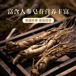 固青堂 西洋参浓缩液文登杨静静西洋参高端礼盒父母滋补 3盒 3个月改善装