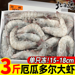 北海湾 厄瓜多尔白虾 大虾鲜活速冻盐冻南美白虾基围虾海虾对虾海鲜批发 厄瓜多尔气冻虾 3斤(净重)