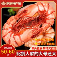 海鲜颂 九节虾干即食大虾干烤虾干对虾干特大斑节虾干海产干货风干大烤虾 中号斑节虾干500g/50-60只