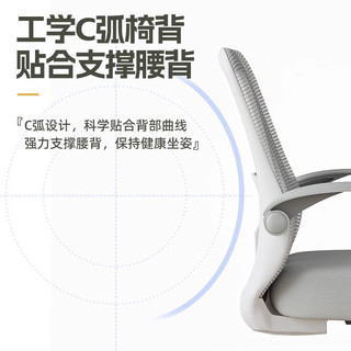  依恋达 人体工学 电脑椅  转椅 灰色