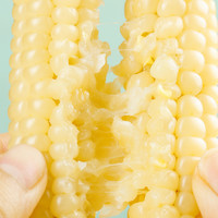 华田禾邦新玉米 云南拇指儿童玉米香糯小玉米早餐