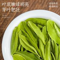 六安瓜片 茶叶绿茶 2025新茶雨前安徽手工瓜片春茶礼盒装250g