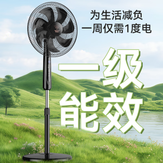 钻石牌 DFS-ZFR07 直流变频纯铜电机 智能语音遥控 落地扇