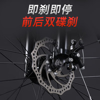 RALEIGH兰令山地自行车成人男女变速青少年中小车越野户外骑行赛单车 【高碳钢】R780-三刀轮-樱花粉 27.5寸轮组 （适合170-190cm） 24速标准版