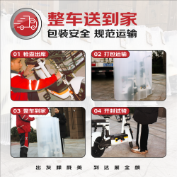 金箭 新国标电动车京乐48V20Ah续航70公里铅酸电池电瓶车代步助力长续航彩雅灰 彩雅灰-续航60~70公里