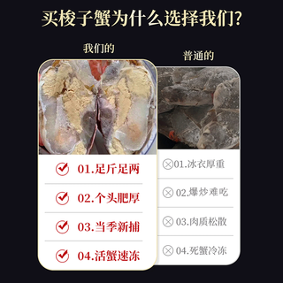 拾鲜生 舟山野生梭子蟹 7-9两/只 5斤装