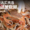 拾鲜生 沙蟹蟹钳螃蟹腿 3斤 捞汁小海鲜水产