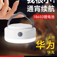 温唯 便携露营充电帐篷灯户外照明灯泡超长续航挂灯应急超亮野营灯