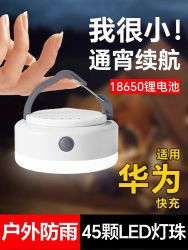 温唯 便携露营充电帐篷灯户外照明灯泡超长续航挂灯应急超亮野营灯