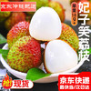 好心岭南 高州妃子笑荔枝 净重4.5斤 单果18g+
