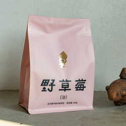 治光师 BEAM TIMER 野草莓意式拼配咖啡豆中深烘培美式拿铁精品黑咖啡 450g 不磨粉
