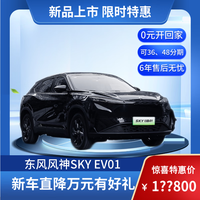 东风风神 SKY EV01 445km PRO 端砚黑