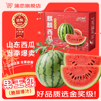 蒲恋 麒麟西瓜新鲜水果当季现摘8424脆甜多汁整箱 净重6-7.5斤丨独立气柱/更
