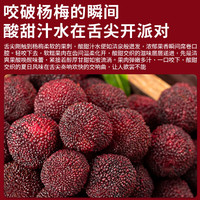  优味集 新鲜 杨梅