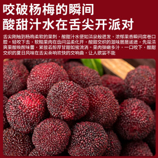  优味集 新鲜 杨梅