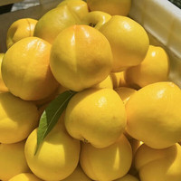 初石山东蒙阴黄金油桃新鲜水果黄肉桃新鲜采摘蒙阴油桃   装净 重 2.25斤（7-9个）