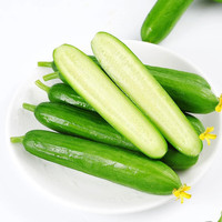 正鲜季水果黄瓜生吃小青瓜5斤装青瓜新鲜水果蔬菜轻食现摘现发 净重5斤严选