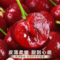 洑记山东美早大樱桃【空运多地次日达】国产车厘子樱桃新鲜水果 2.7斤(净重) JJJ 【30-32mm】