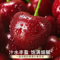 洑记山东美早大樱桃【空运多地次日达】国产车厘子樱桃新鲜水果 2.7斤(净重) 4J 【32-34mm】