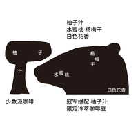 治光师【夏季冷萃】柚子蜜桃风味冠军拼配冷萃咖啡豆150g源头直发