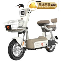 补贴购：雅迪 C20 复古长续航电动自行车 燕麦暖棕