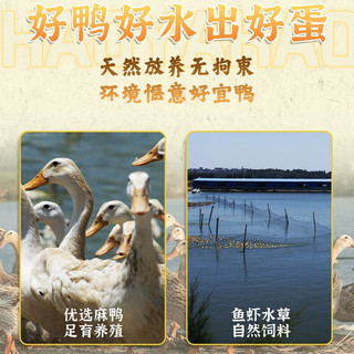五芳斋 WU FANG ZHAI 咸鸭蛋 红心流油下饭菜咸蛋开袋即食独立真空包装 60g*6只装 6只装咸鸭蛋360g