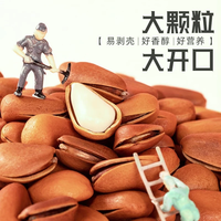 比比妙新货坚果炒货休闲零食东北开口松子独立小包装防潮便携 【精选罐装】净重：500g*1