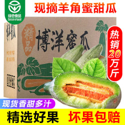蔬农联 山东头茬羊角蜜瓜 4.5斤