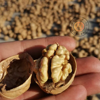 望蓝川新货新疆阿克苏温185纸皮薄皮新鲜生熟核桃手工奶香原味 五香味1斤(炒熟)