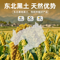 蒲仓佳黄小米 东北小米 小米粥 五谷杂粮 米油醇厚 【冲量装5斤】黄小米