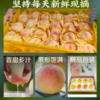 京觅 无锡阳山水蜜桃 单果300g+ 8个装 2kg