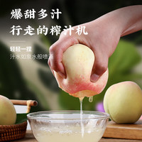 京觅 阳山水蜜桃 单果200g+ 12个装