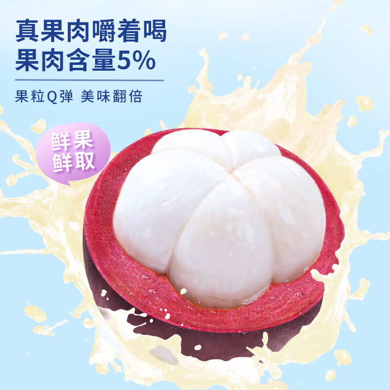  27000/忘岁泉 果肉 果汁饮料