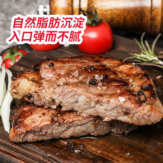  Grand Farm/大庄园 整切静腌 牛排套餐  150g×1袋 散装 150g