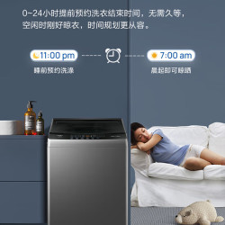海尔 Haier XQB100-BZ206 变频波轮洗衣机 10kg 布朗灰