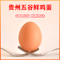 黔无双 溏心蛋 鲜鸡蛋