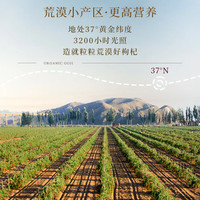 百瑞源宁夏枸杞 免洗枸杞 特优级枸杞子 中宁免洗小包装枸杞红枸杞礼盒 荒漠有机礼盒330g(10g*33袋)