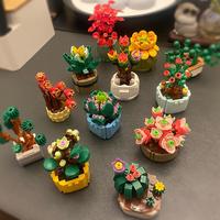 启智乐 多肉盆栽拼装摆件 兼容乐高 六一礼物