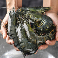 鲜京采 鲜冻大号黑虎虾 去冰净重2斤 31-40只/盒 斑节对虾