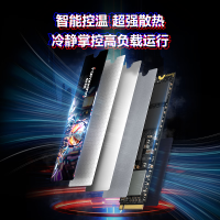 梵想 限量500件 梵想 S910PRO 2TB 固态硬盘 M.2接口PCIe5.0 独立缓存 读速14000MB/s