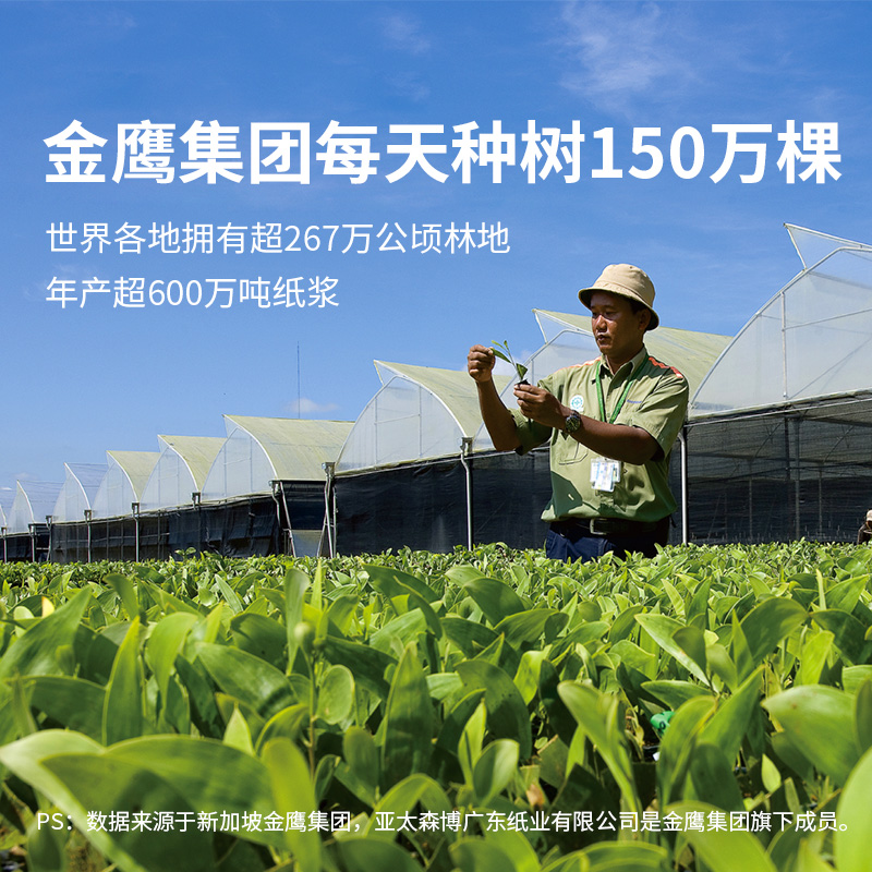 亚太森博a4打印纸  复印纸 a4白纸70g整箱5包2500张 学习办公用纸双面打印80g草稿纸试卷纸