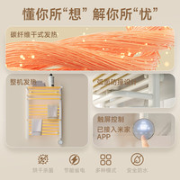 卡迪欧碳纤维智能电热毛巾架家用卫生间发热烘干浴巾架置物架加热