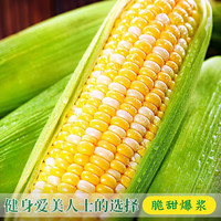 粤迎云南金银水果玉米新鲜甜玉米现摘玉米棒生鲜蔬菜可生吃火锅食材 5斤精选果【单果300g+】净4.8斤