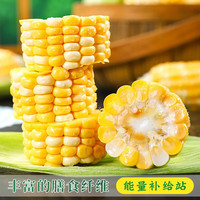 粤迎云南金银水果玉米新鲜甜玉米现摘玉米棒生鲜蔬菜可生吃火锅食材 5斤精选装【老农手挑】净4.7斤