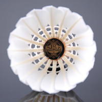 亚狮龙（RSL）专业赛事级羽毛球鹅毛球耐打稳定比赛Ultimate 12只装76速